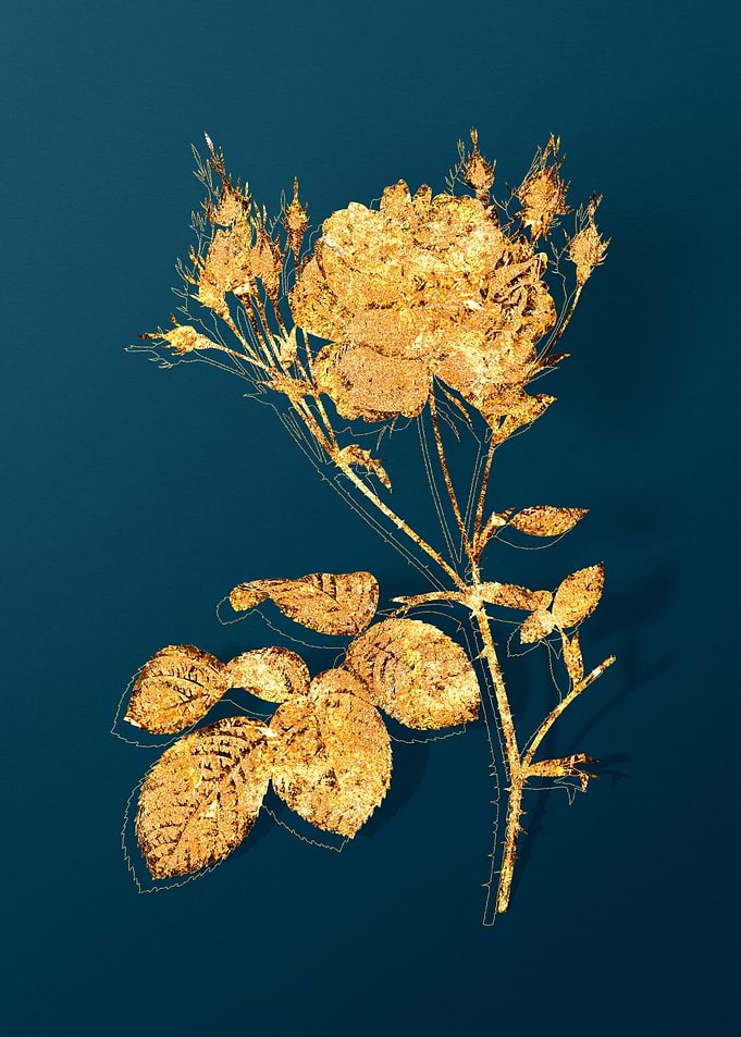 Vintage Flower Drawing
