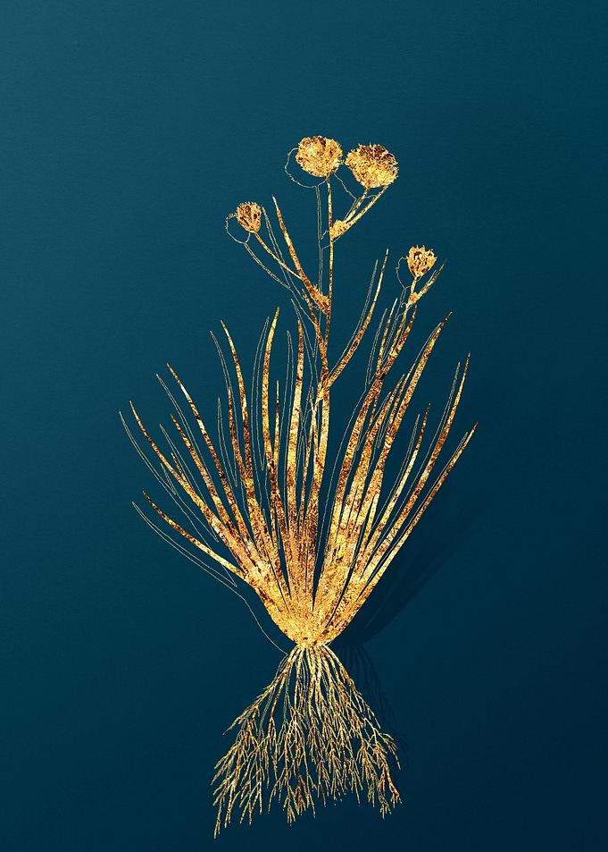 Vintage Botanicals in Gold