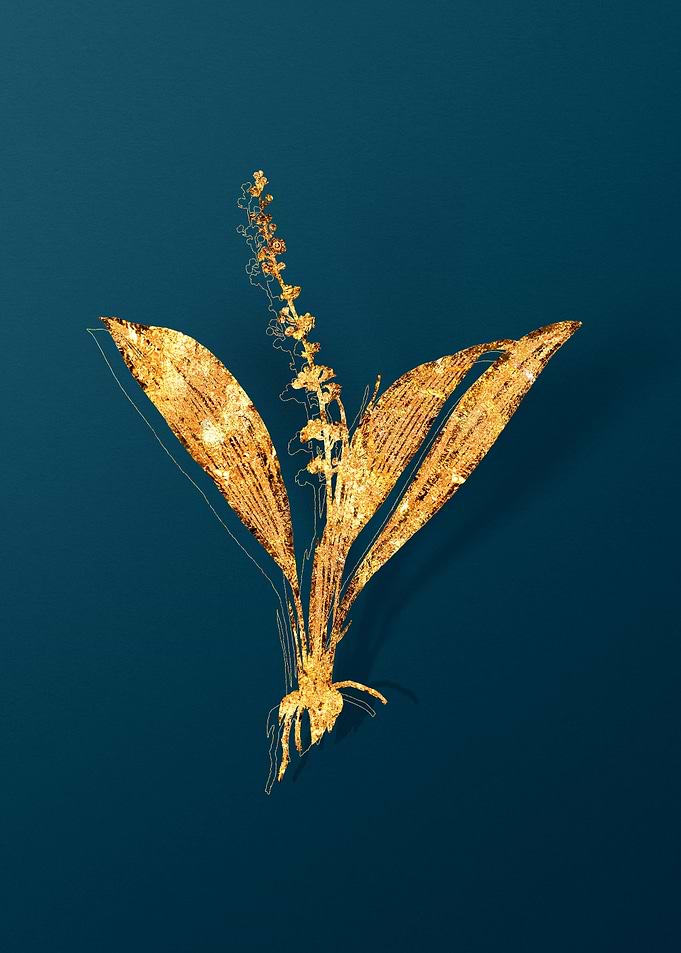 Gold Vintage Illustration