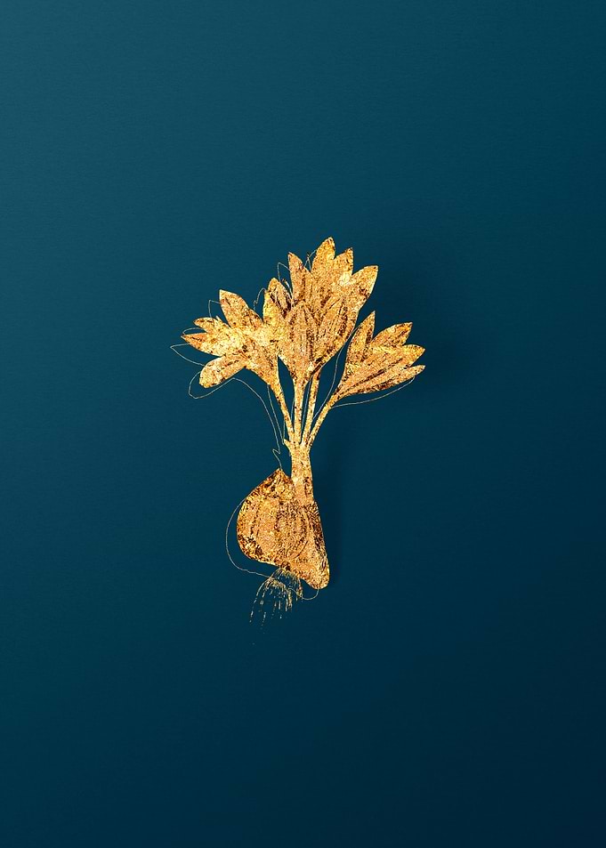 Gold Botanicals on Teal