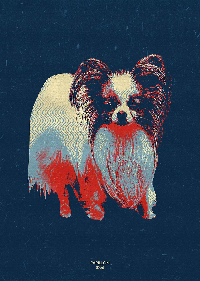 papillon