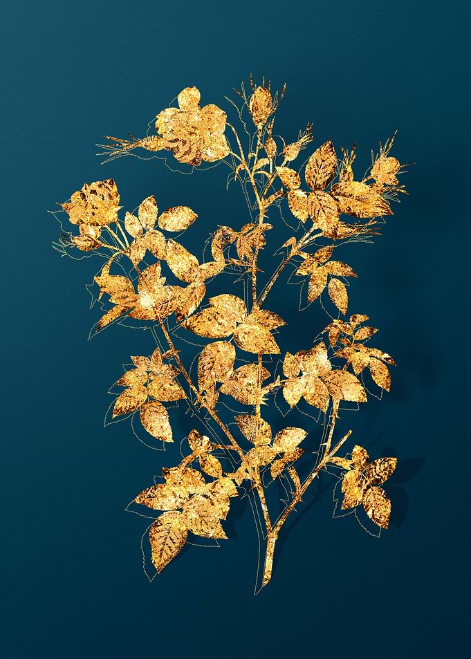 Vintage Flower Drawing