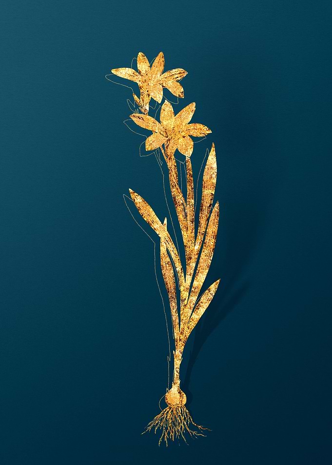 Gold Flower Illustration
