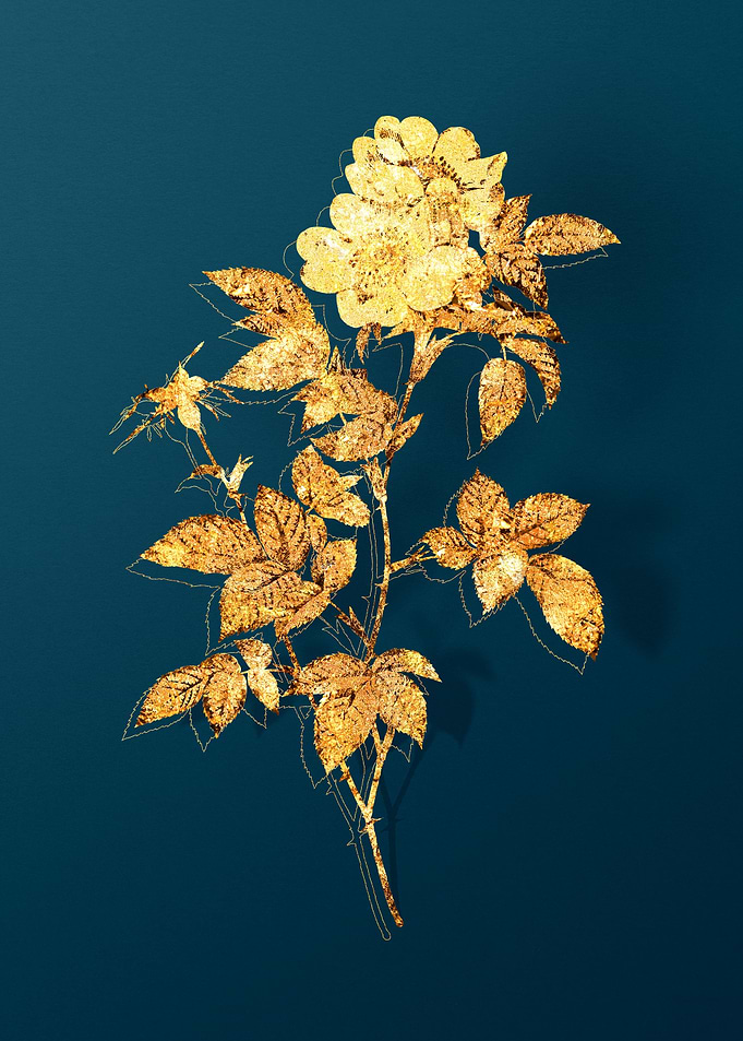 Gold and Teal Drawing