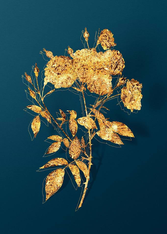 Vintage Floral Drawing
