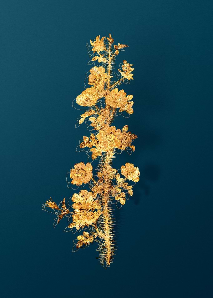 Gold Flower Illustration