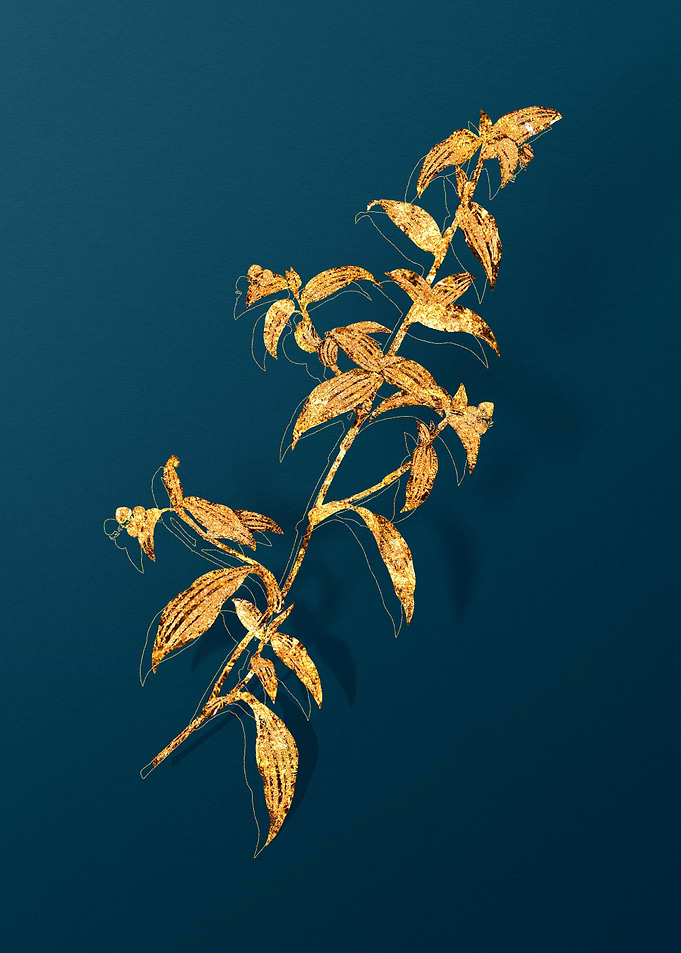 Gold Flower on Teal