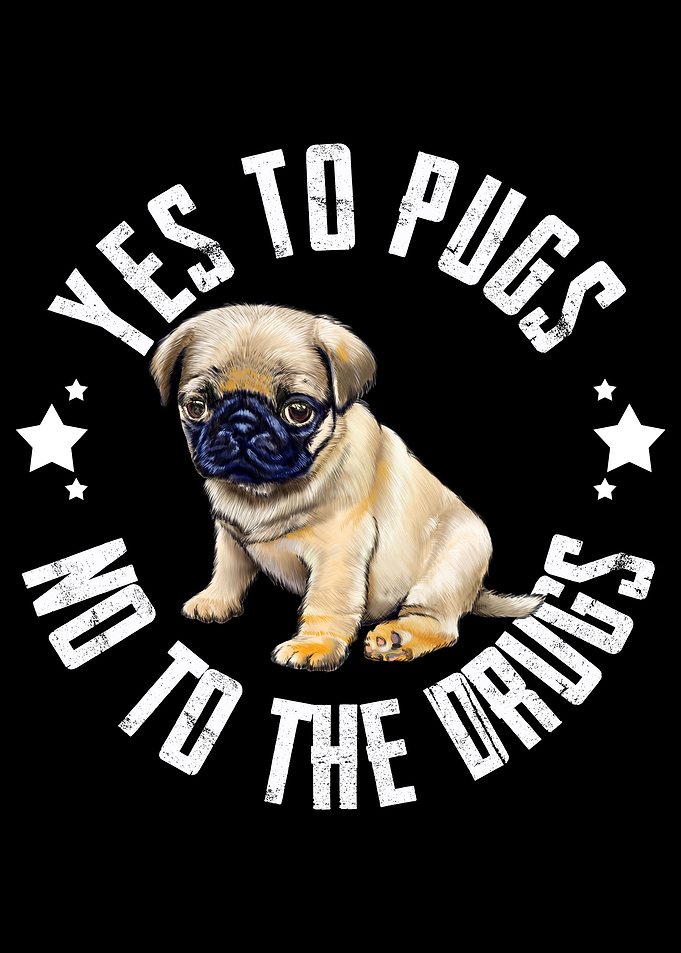 Pug Dog