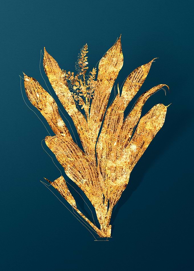 Gold Vintage Flowers Teal