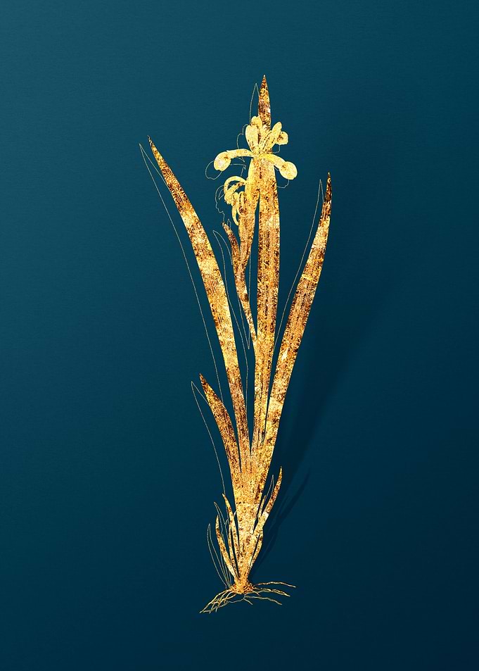 Vintage Botanical Drawing