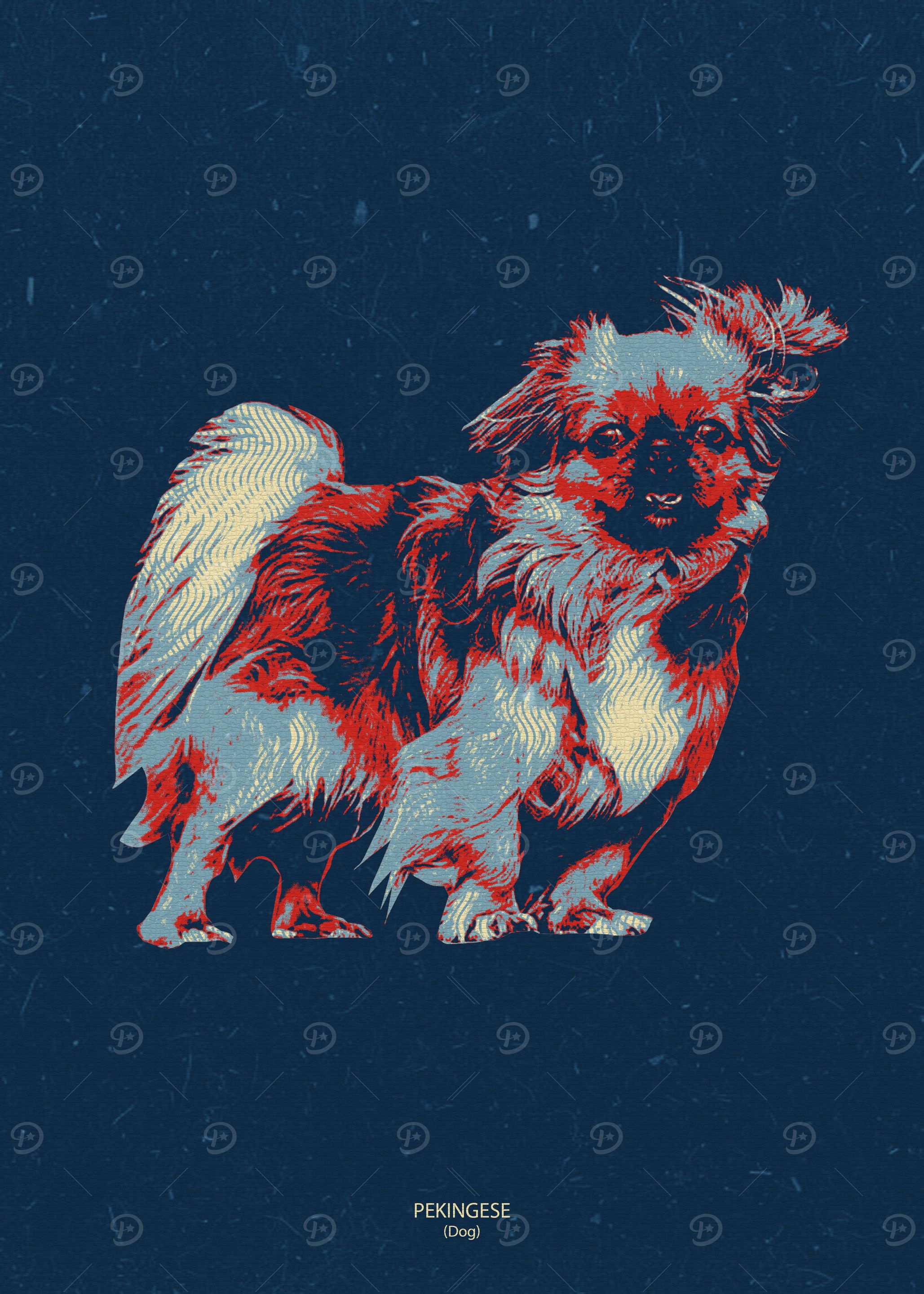 pekingese