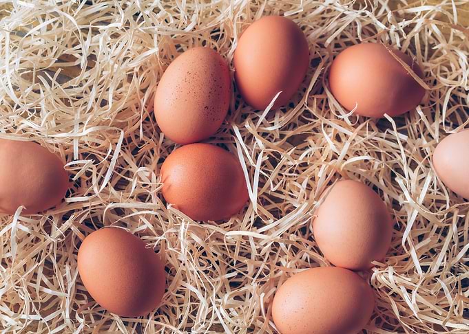 Raw chicken eggs