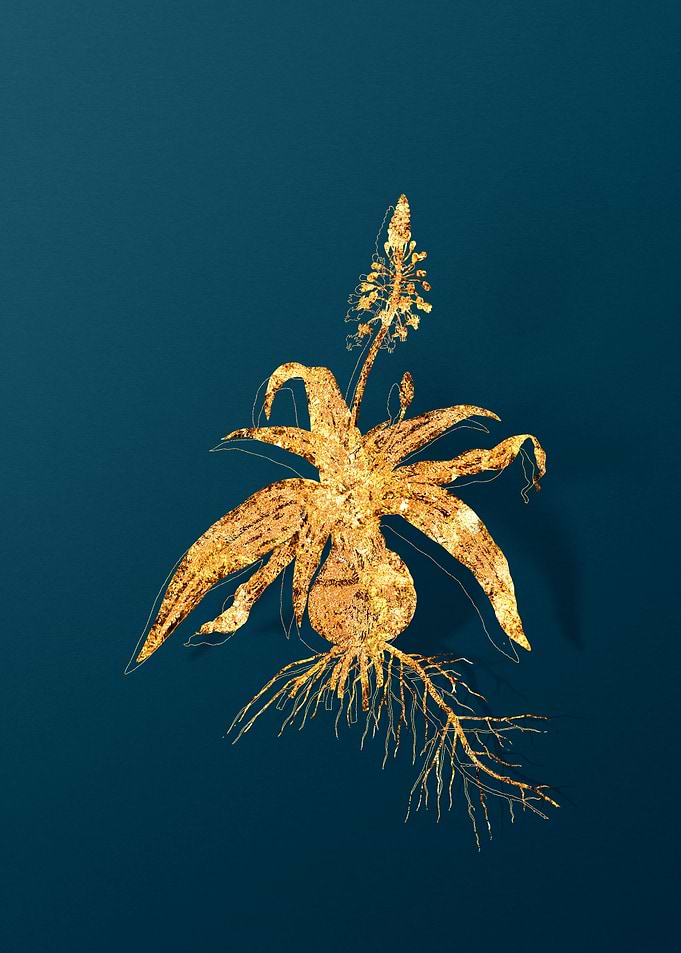 Gold Floral Illustration