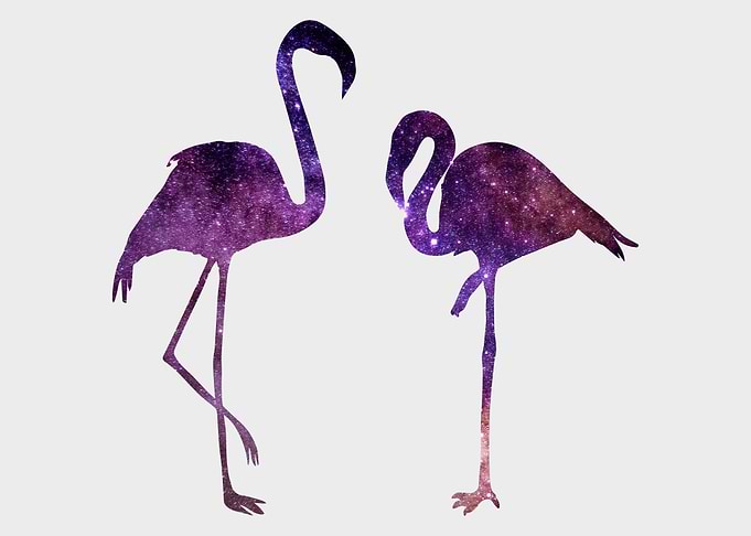Nebula Flamingo