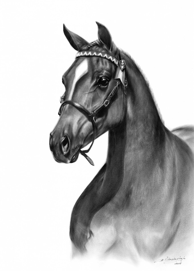 Arabian Beauty