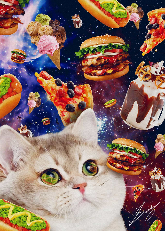 Funny Cat Meme Breathing
