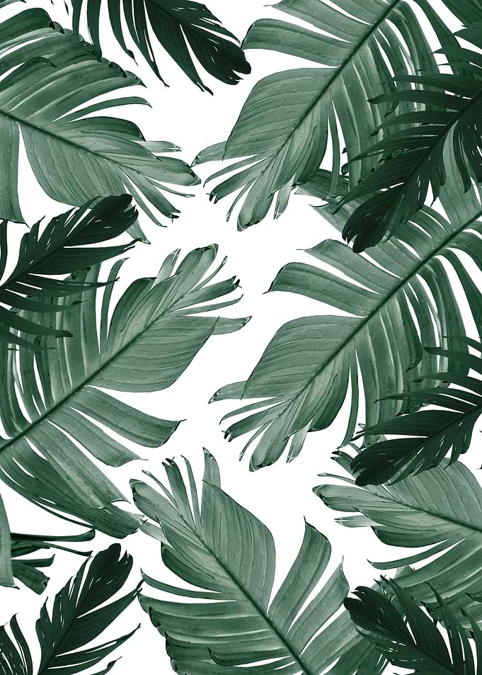 Banana Leaves Pattern 3