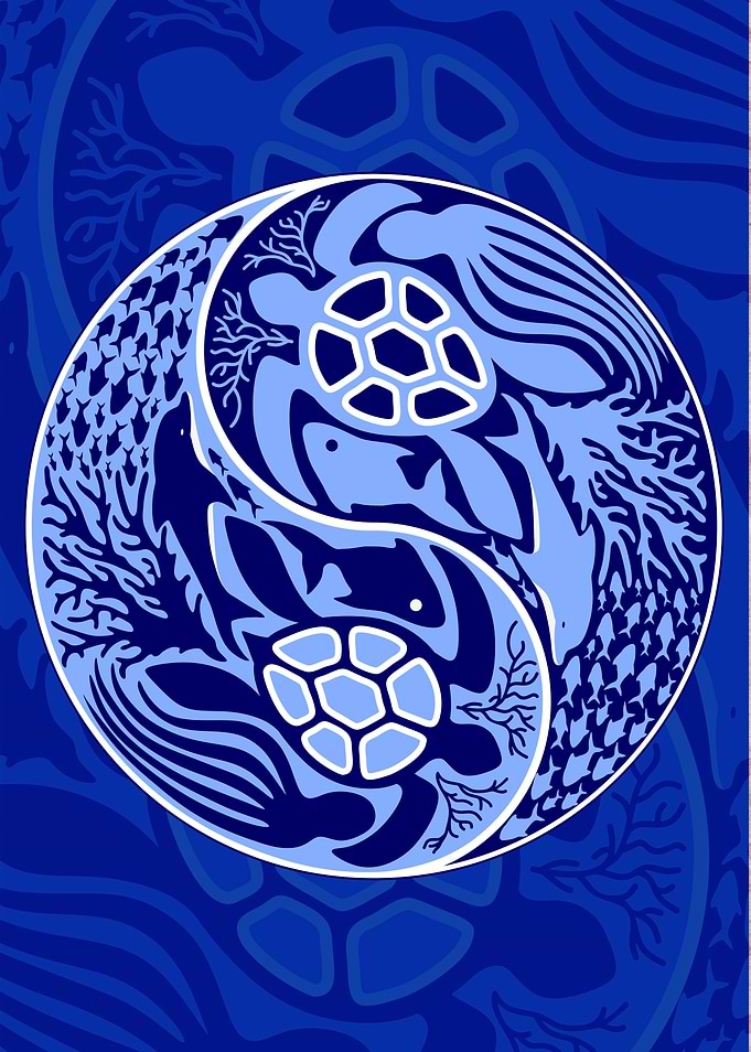 Yin Yang Marine Life