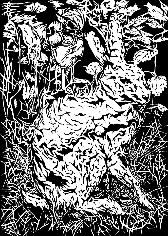 Rabbit