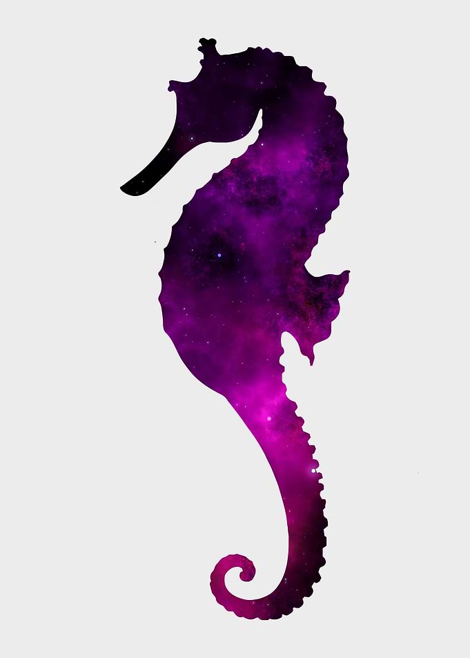 Seahorse Nebula