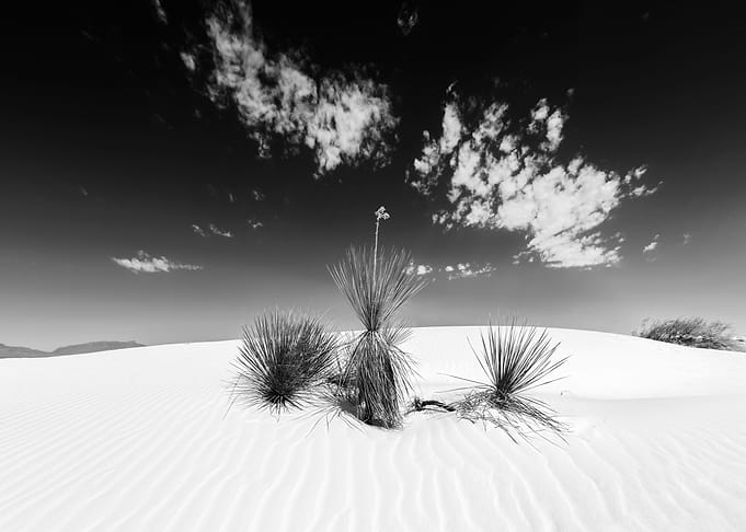 White Sands Impression