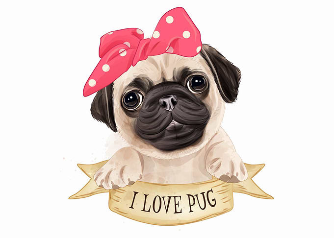 I love Pug