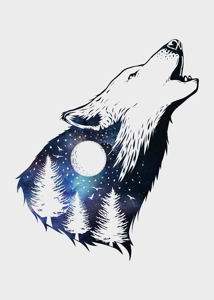 Wolf Nebula