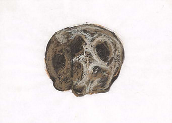 Skull no 1