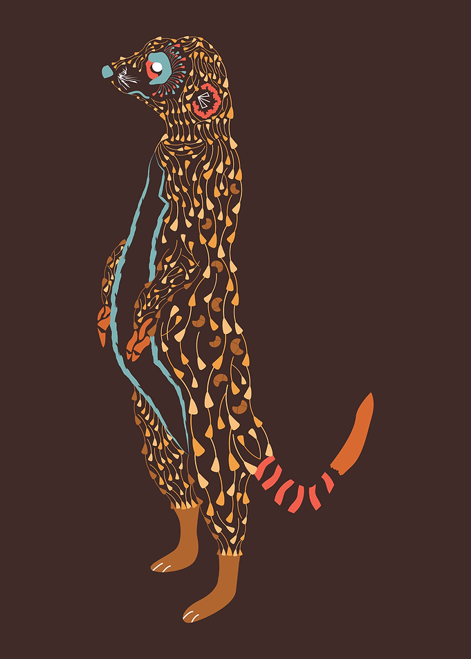 Abstract Meerkat