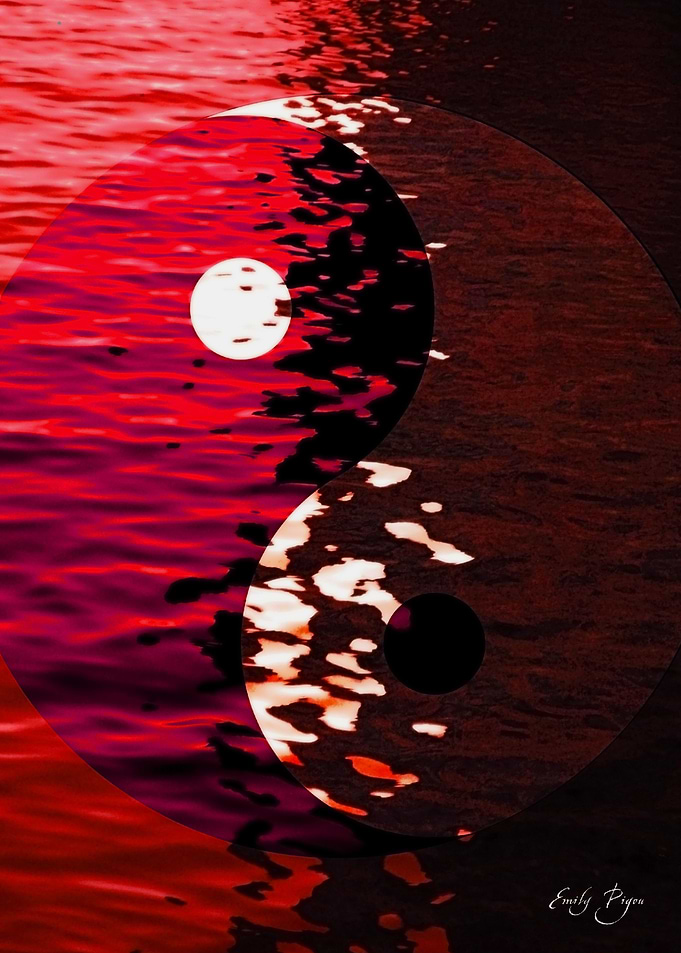 Yin Yang Passion