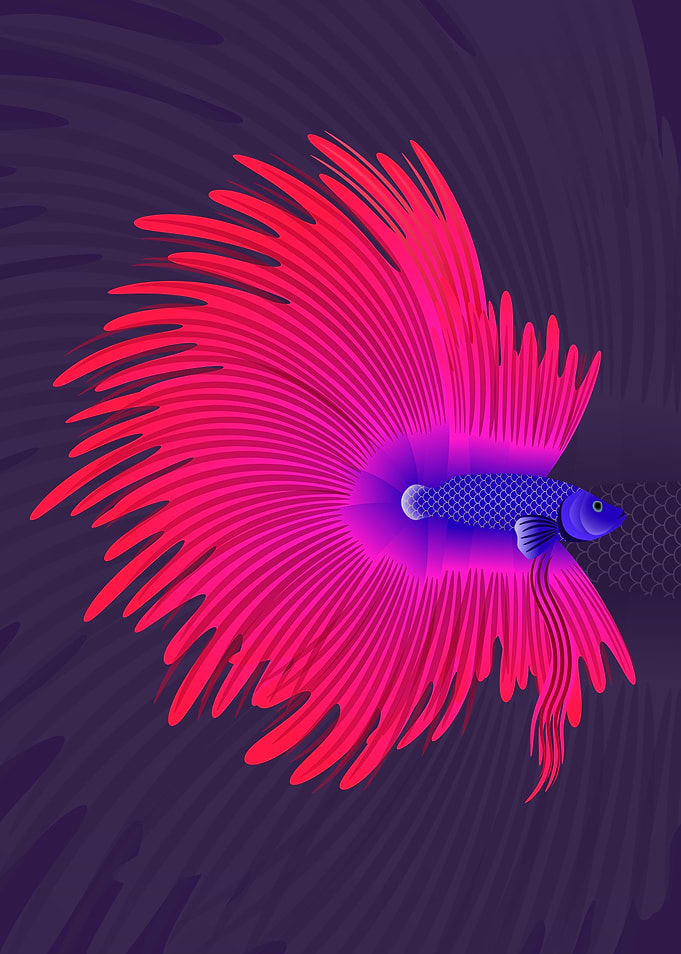Pink Betta Fish