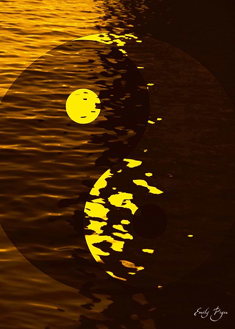 Yin Yang Compassion