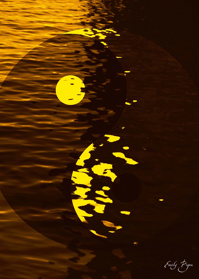 Yin Yang Compassion