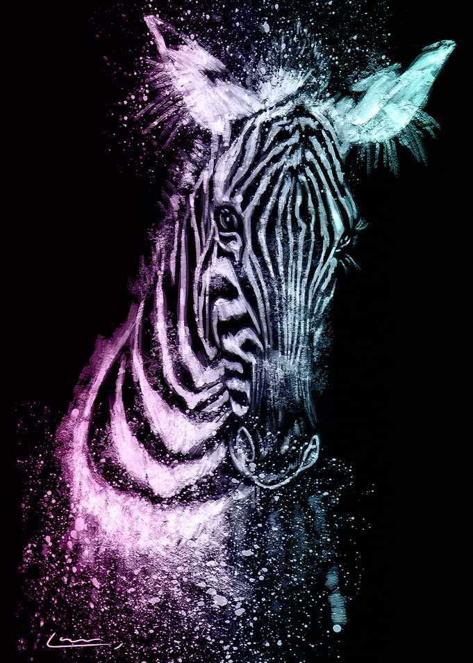 Dreamy Zebra