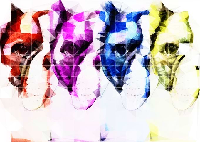 French Bulldog Pop Art