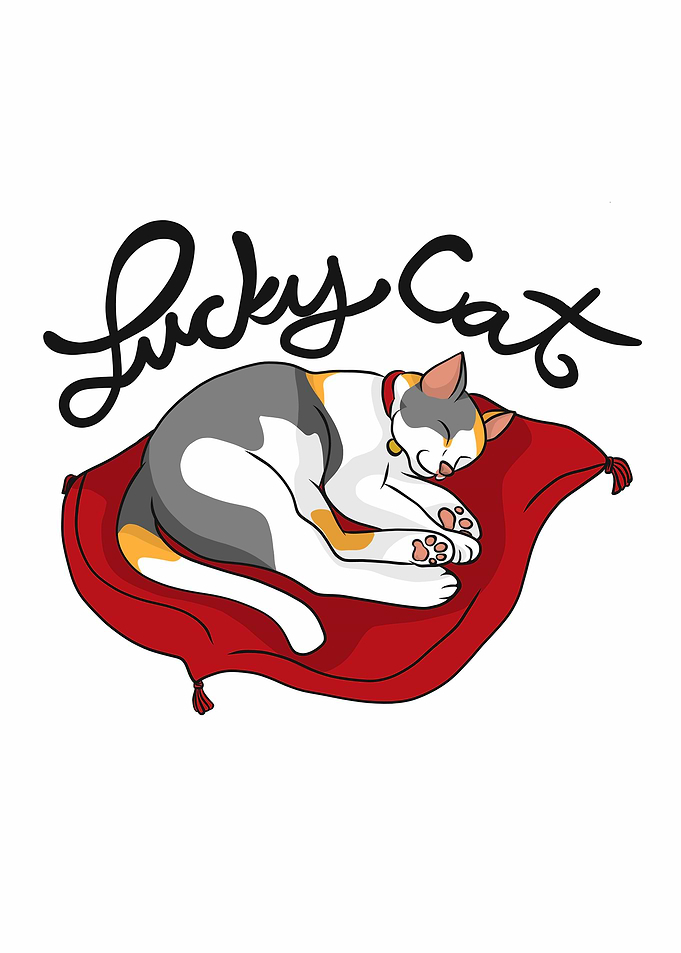 Cat sleeping on red pillow