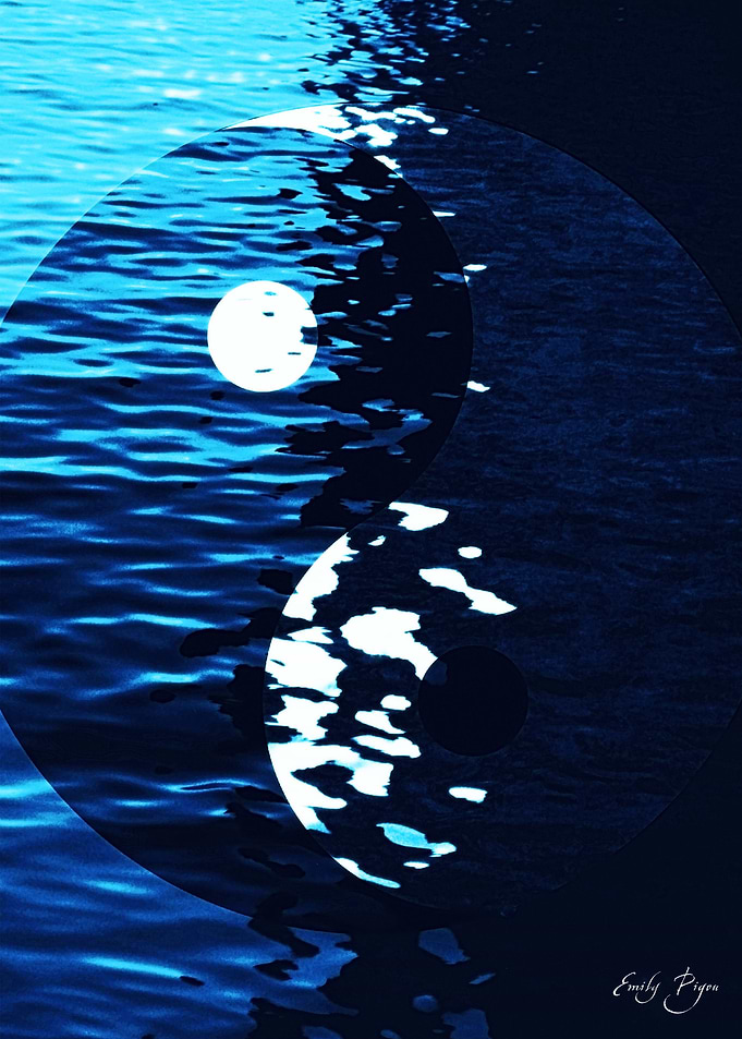 Yin Yang Life