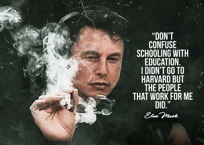 elon musk quote