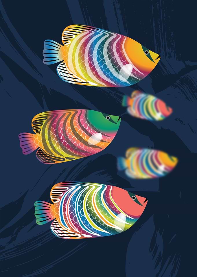Colorful Fish