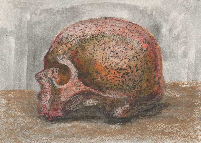Skull no 4