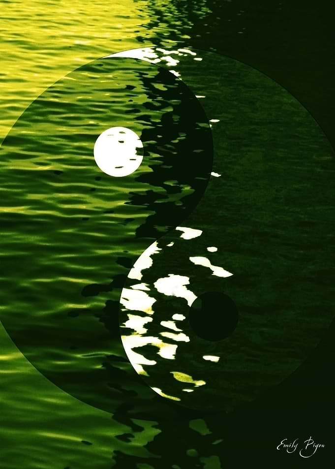 Yin Yang Instinct