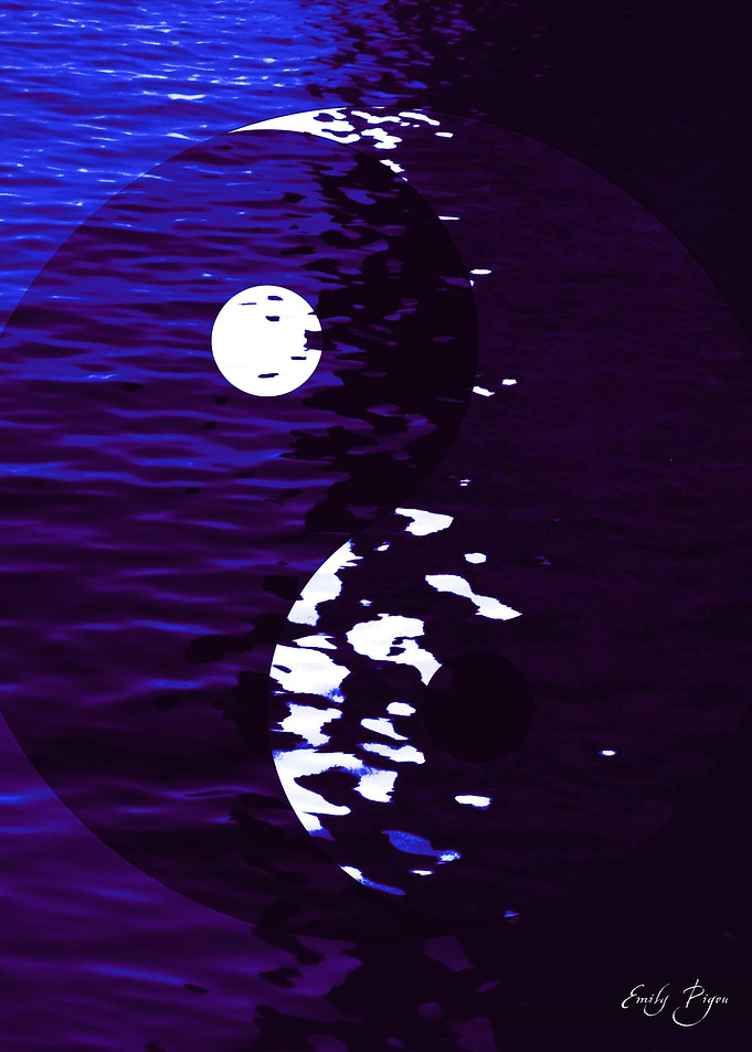 Yin Yang Wisdom