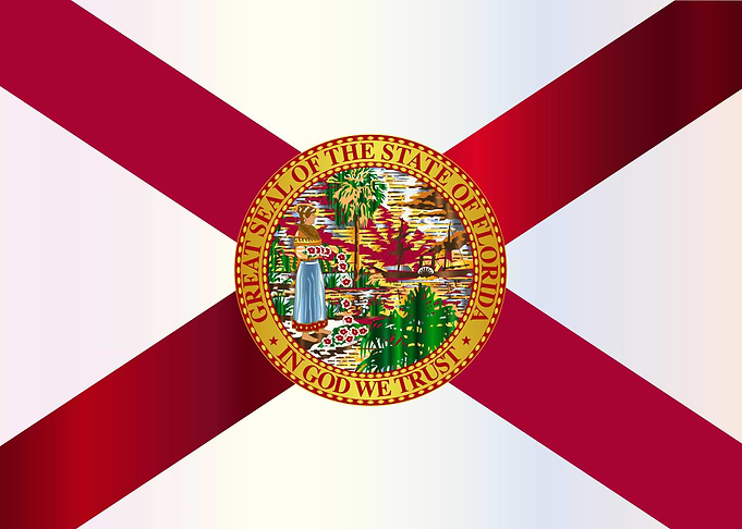 Florida State Metal Flag