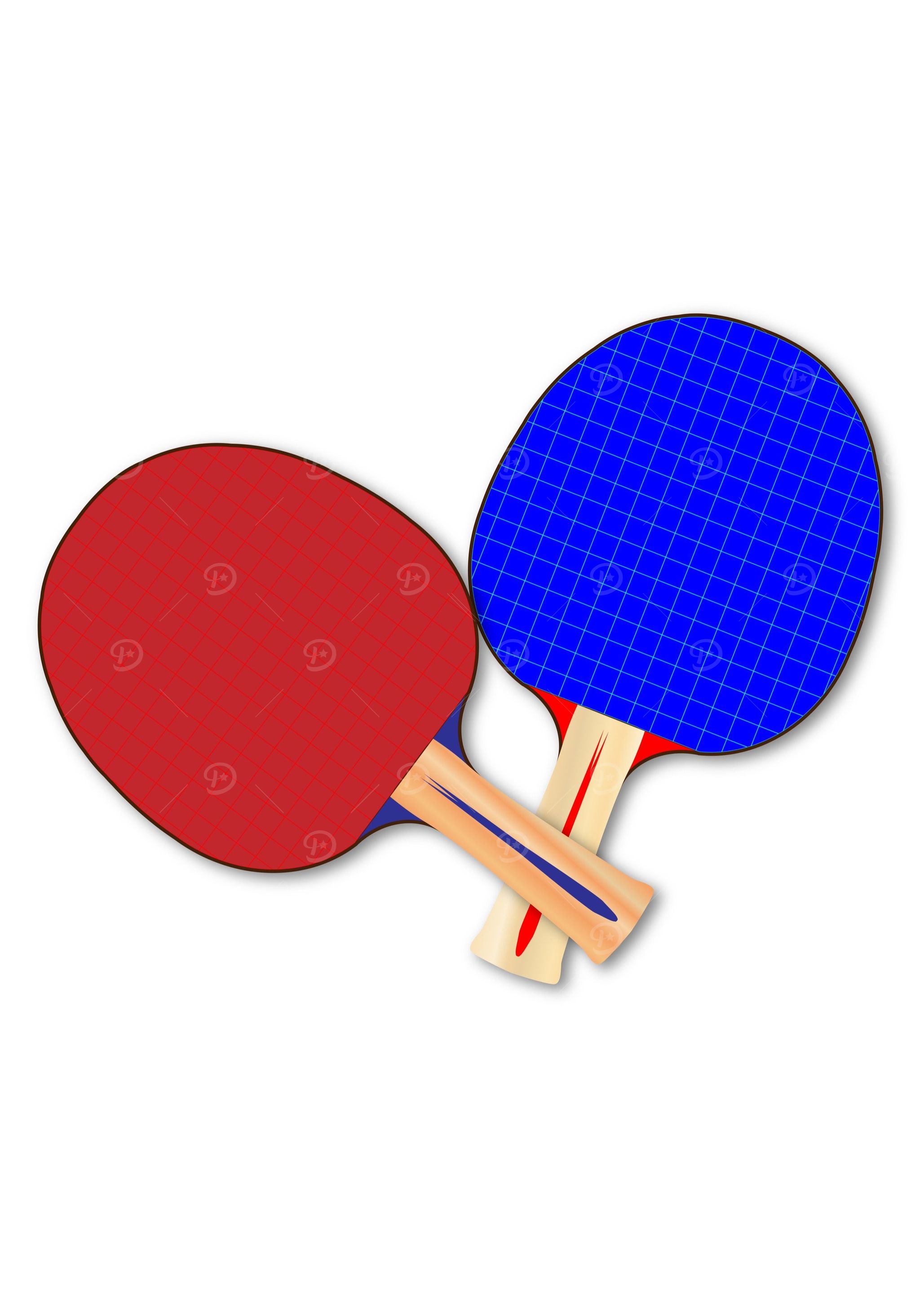 Two Table Tennis Bats