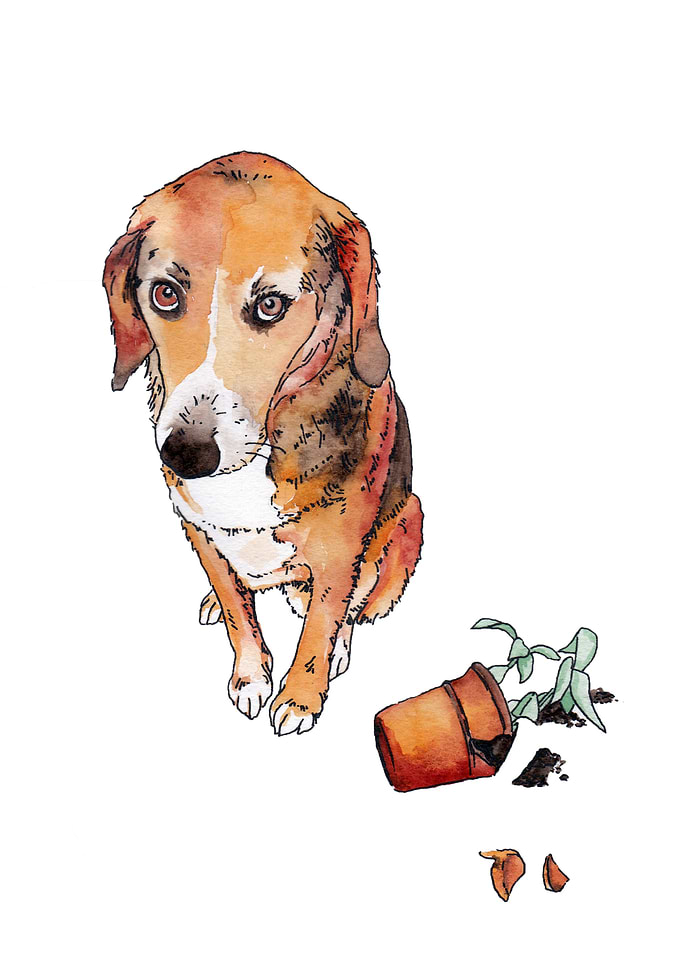 Guilty dog