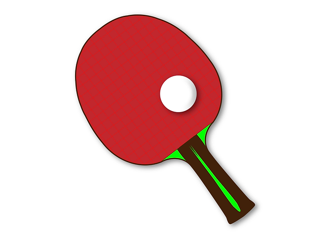Table Tennis Bat