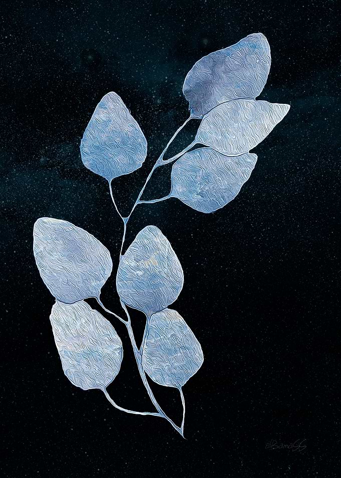 Painted Silk Petals