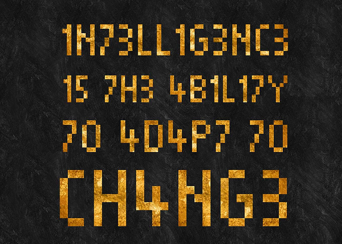 Programmer