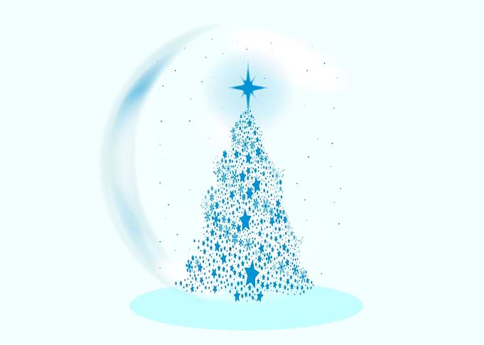 Christmas Tree In Winter