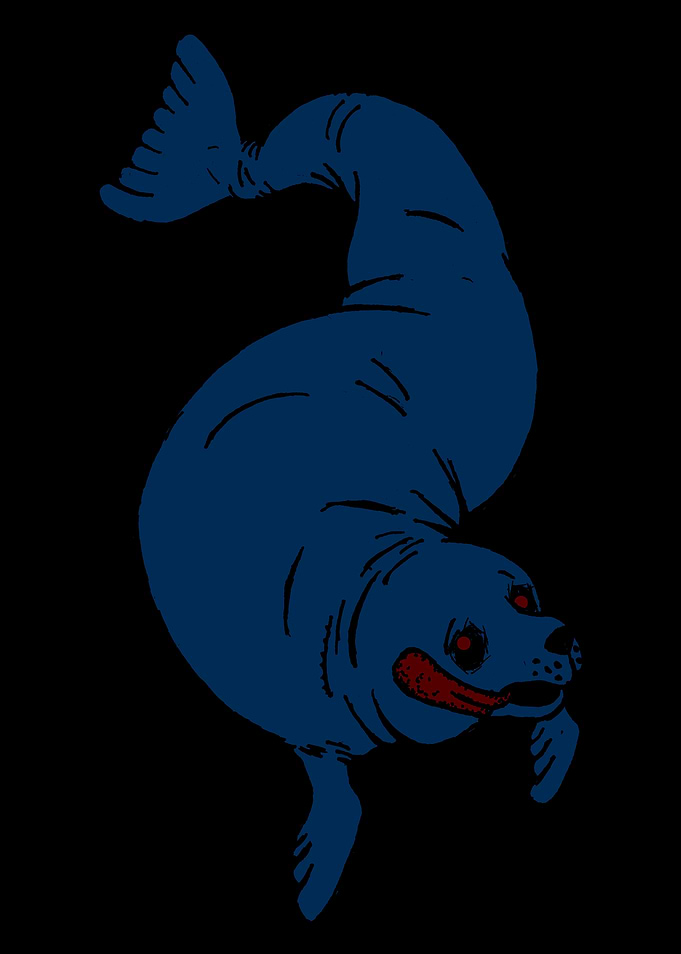 Navy Seal